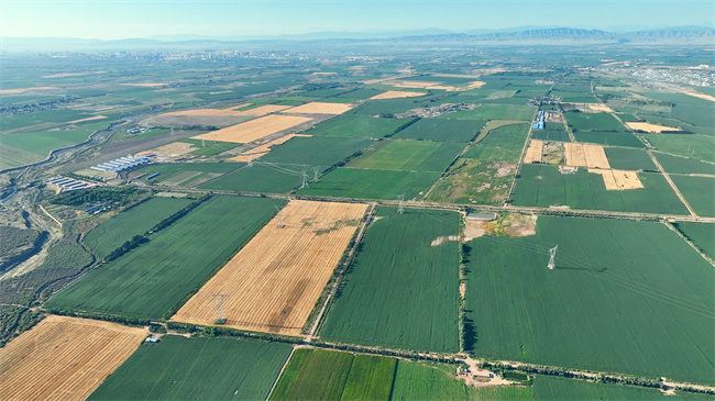 1718075989575942.jpg 圖4.jpg