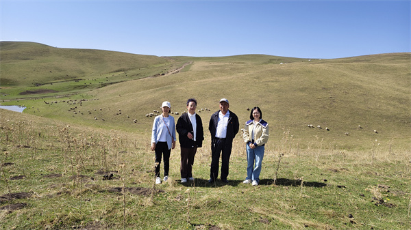 1731484550260261.jpg 圖5.jpg