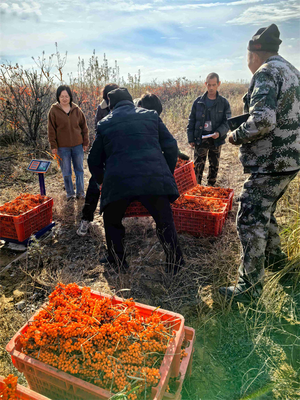 1732677894810141.jpg 圖4.jpg